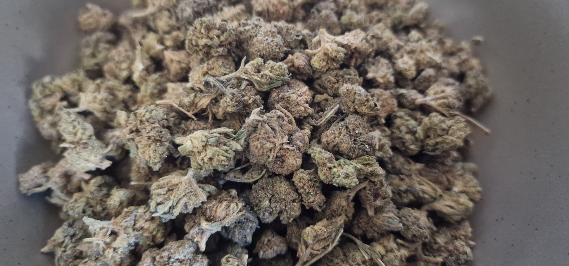 Lemon Haze 20% NANO10 från Seedstore S.R.O